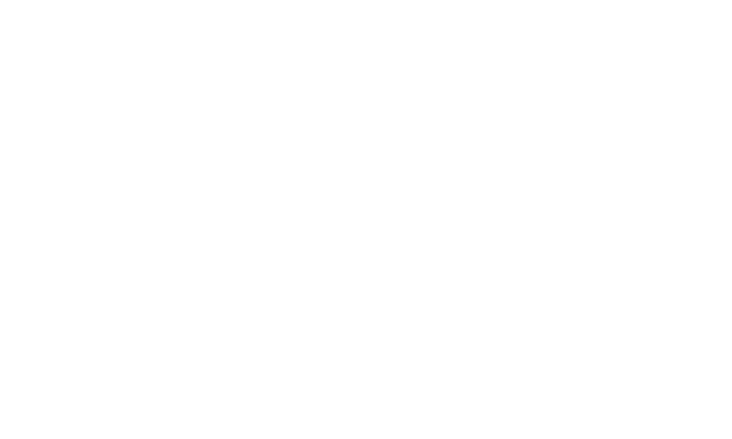 SKALE_White_Transparent.png